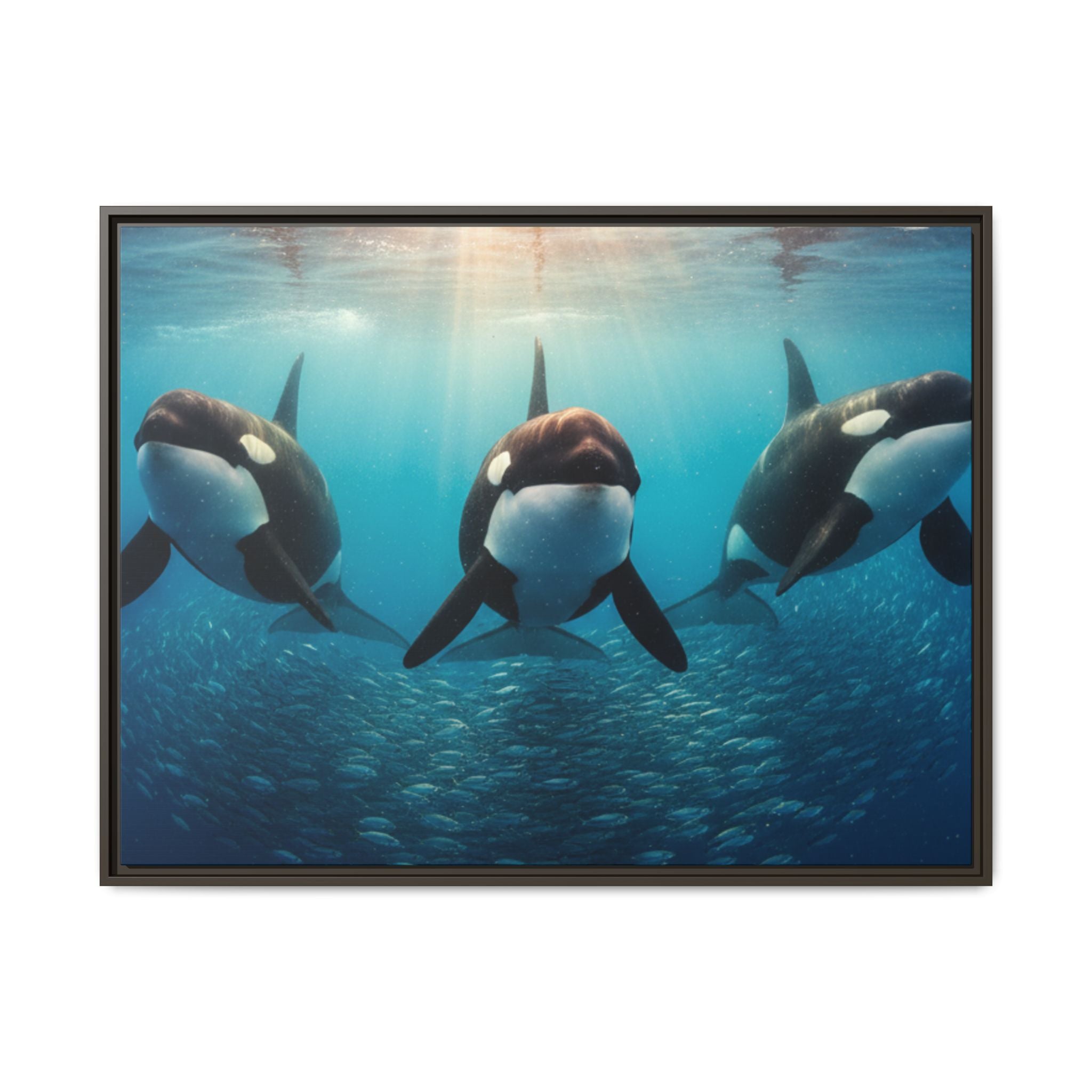 Framed Orca Canvas Print — Underwater Whale Pod Ocean Wall Art