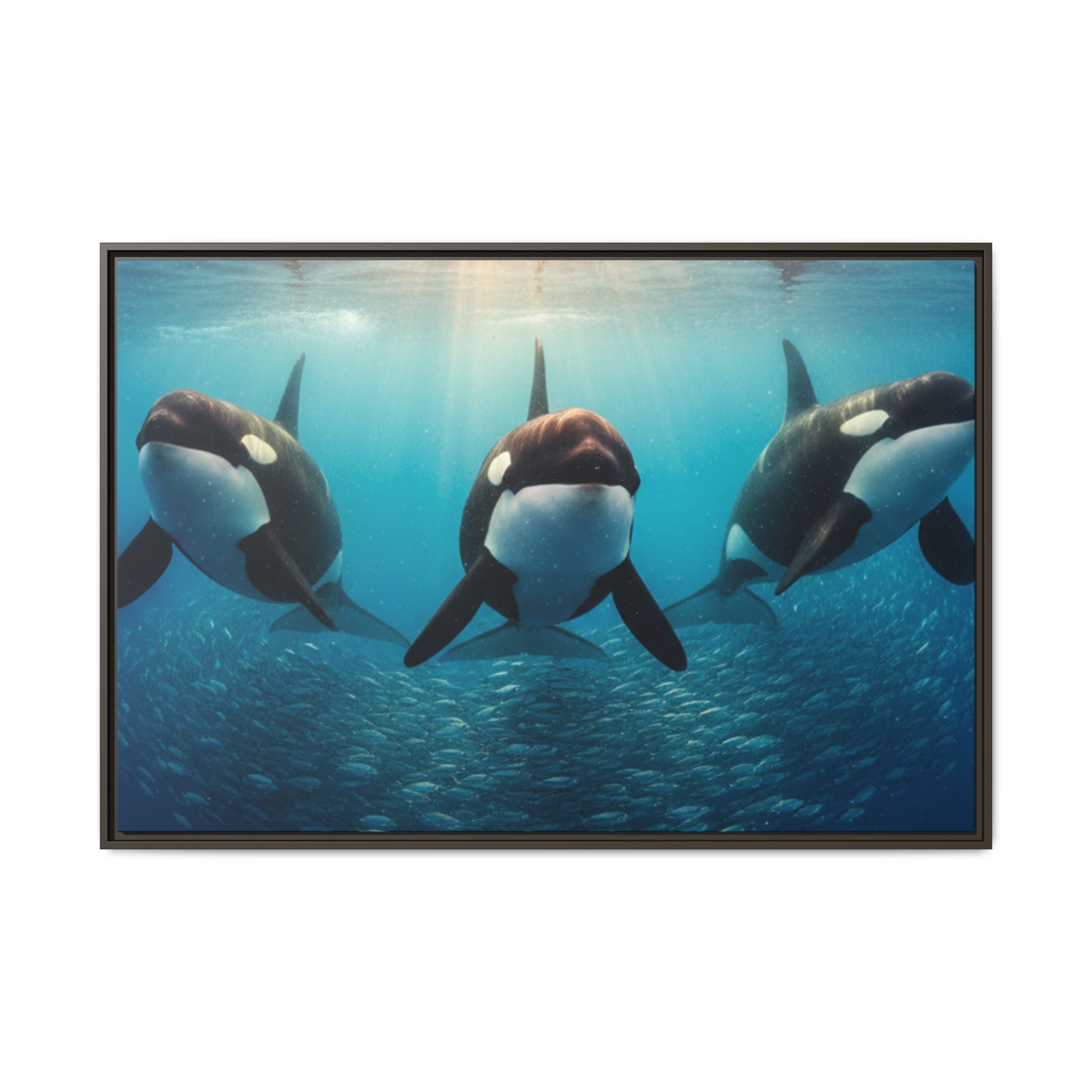Framed Orca Canvas Print — Underwater Whale Pod Ocean Wall Art