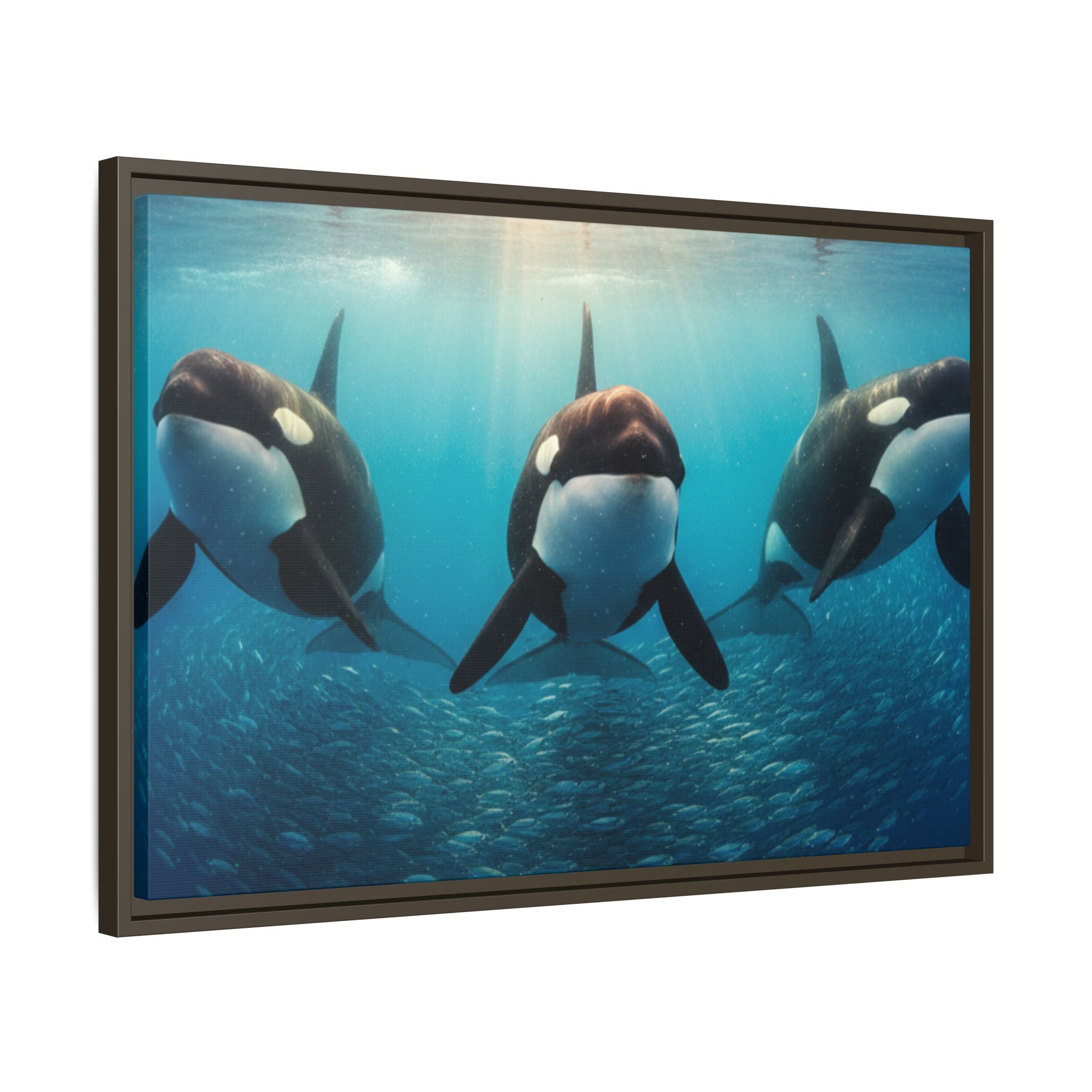 Framed Orca Canvas Print — Underwater Whale Pod Ocean Wall Art