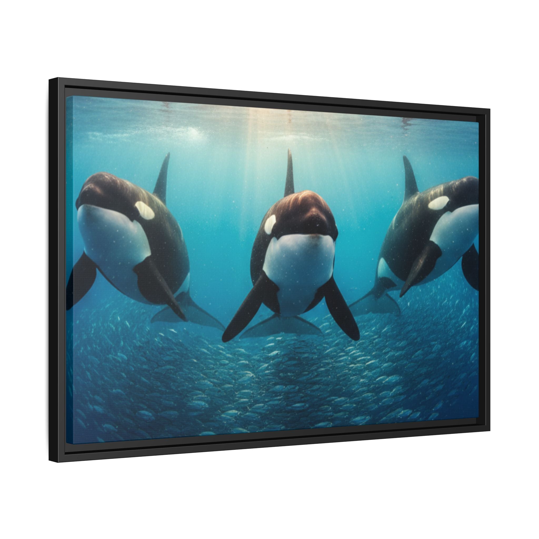 Framed Orca Canvas Print — Underwater Whale Pod Ocean Wall Art