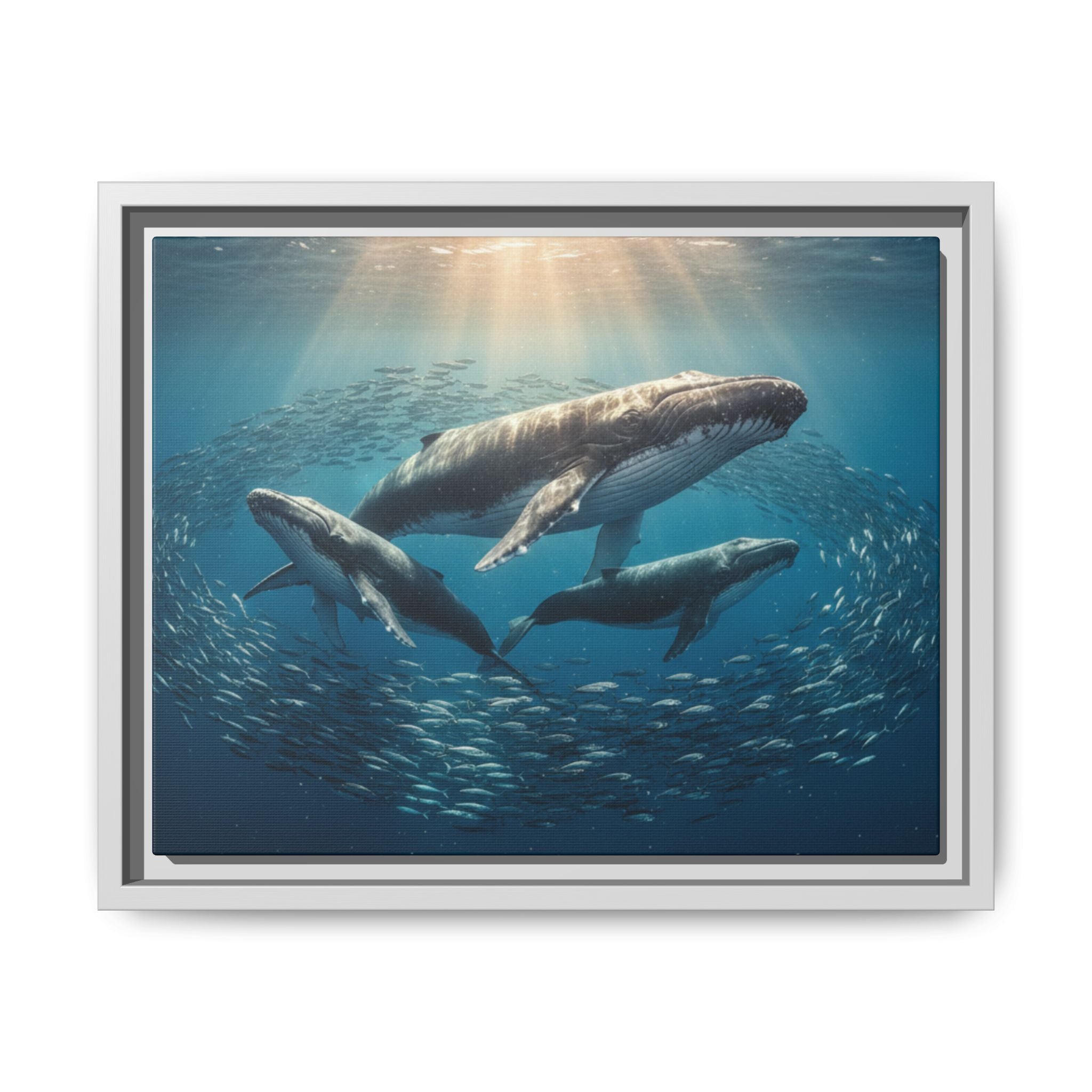 Stunning Whale Family Canvas Wall Art - Framed