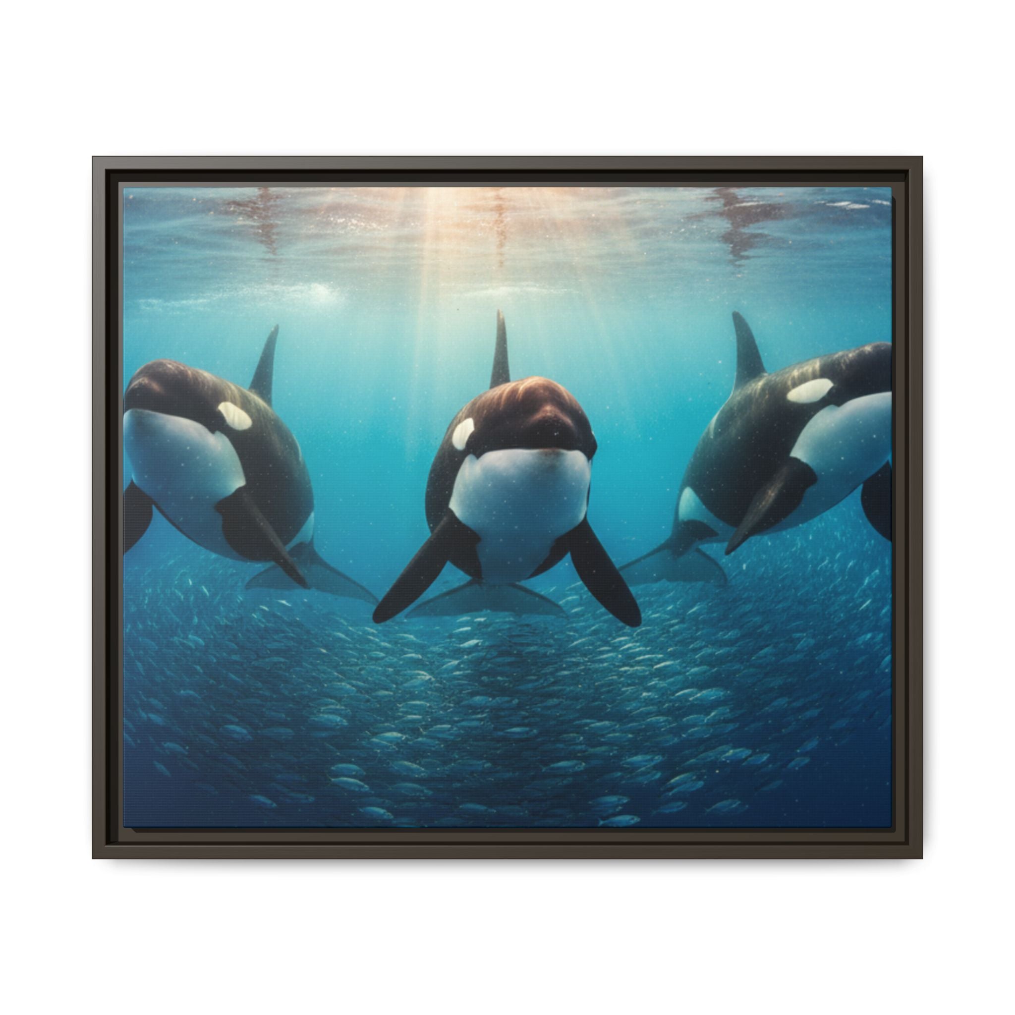 Framed Orca Canvas Print — Underwater Whale Pod Ocean Wall Art