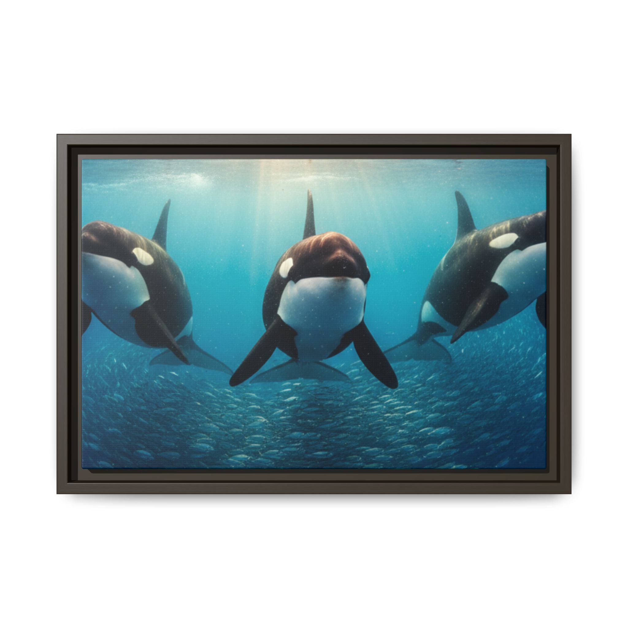 Framed Orca Canvas Print — Underwater Whale Pod Ocean Wall Art