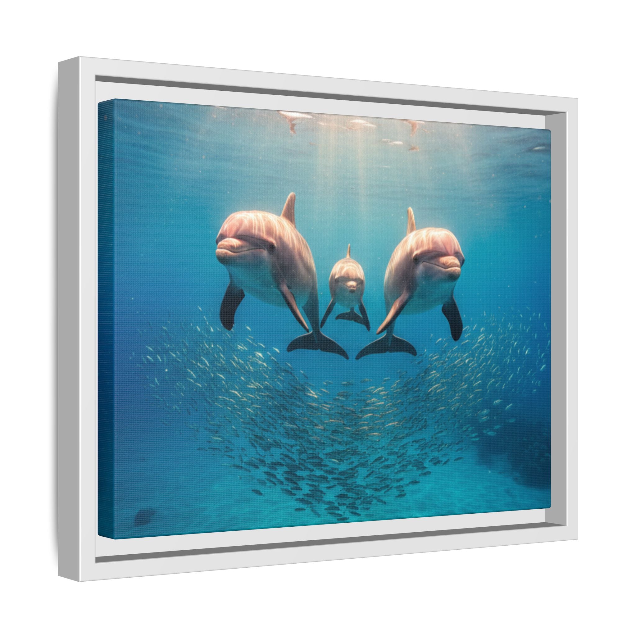 Framed Dolphin Canvas Print — Matte Ocean Wall Art