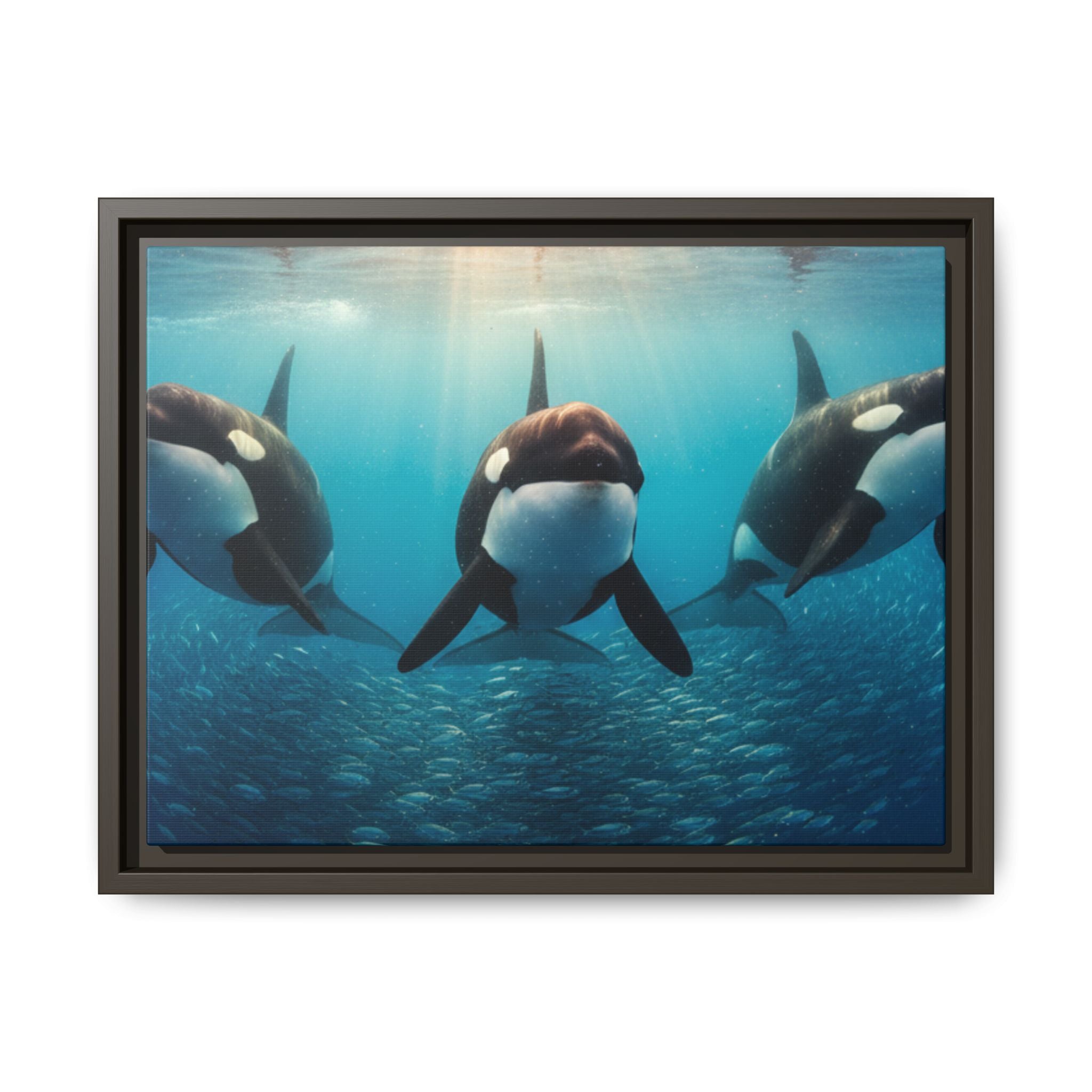 Framed Orca Canvas Print — Underwater Whale Pod Ocean Wall Art