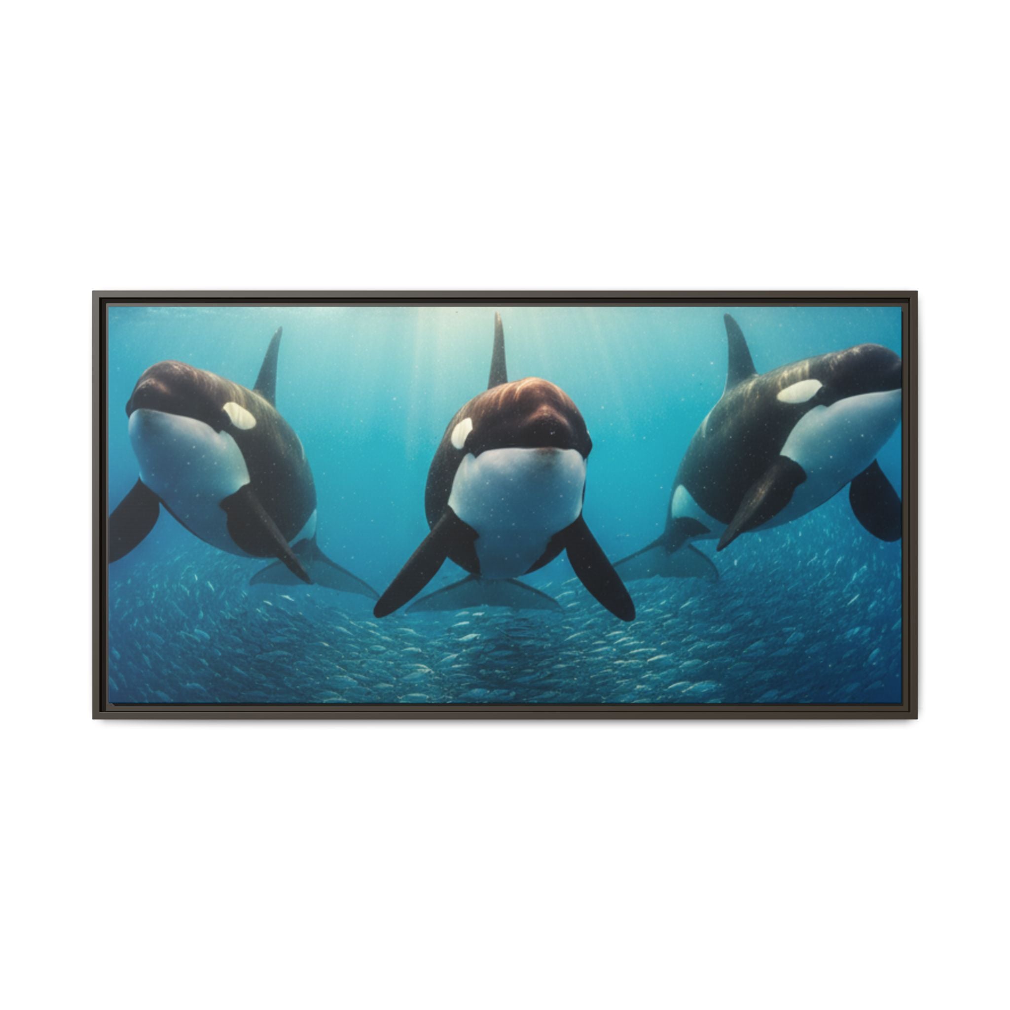 Framed Orca Canvas Print — Underwater Whale Pod Ocean Wall Art